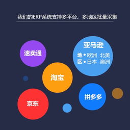 亞馬遜采集上傳erp軟件系統專業定制部署搭oem貼牌